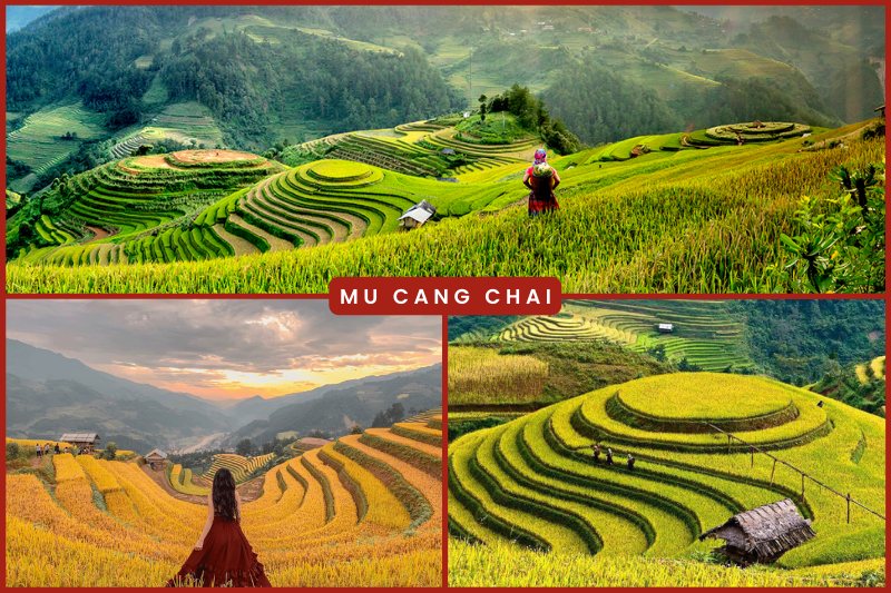 Terraced fields in Mu Cang Chai in Vietnam